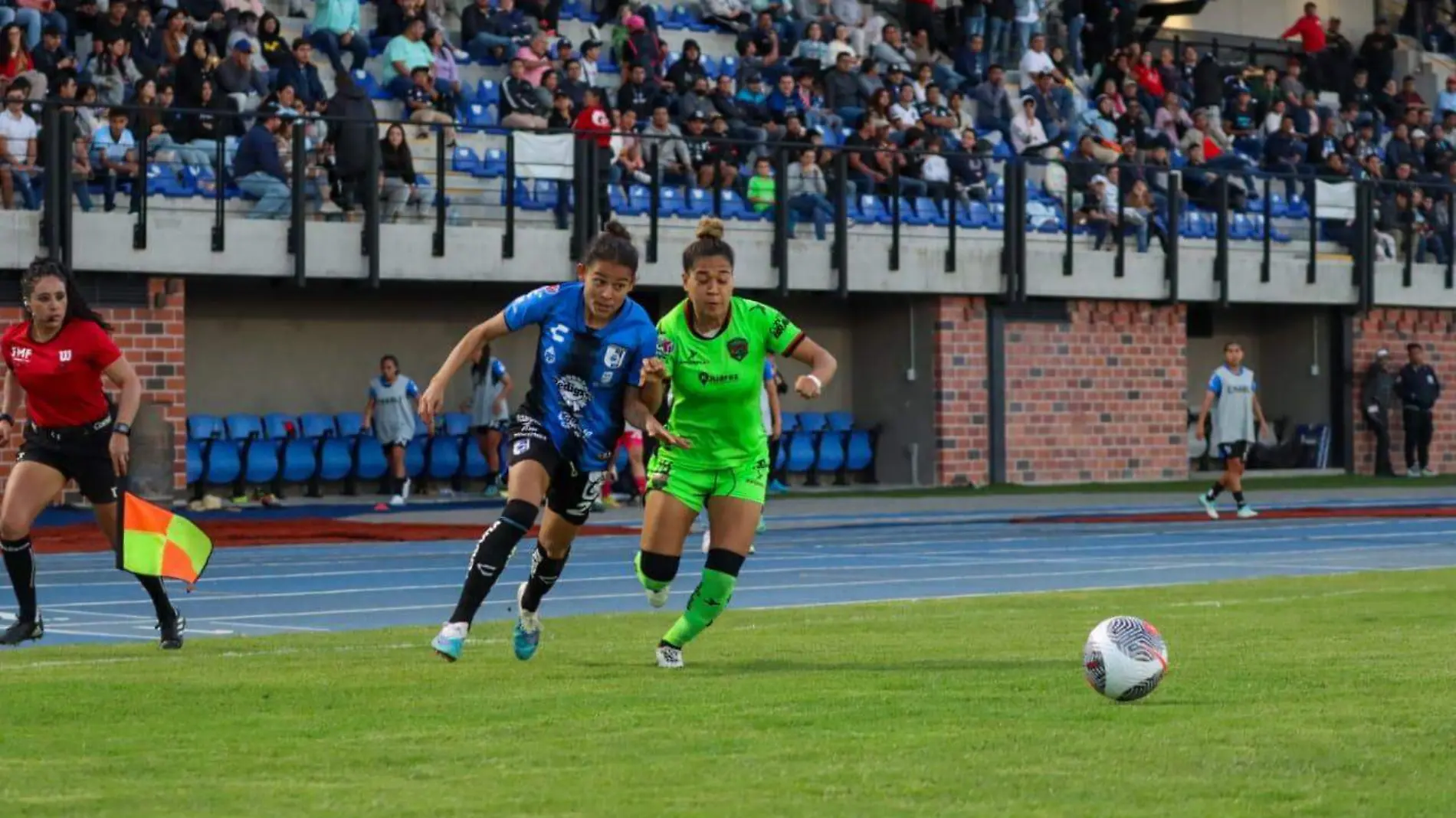 Gallos femenil